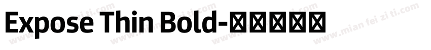 Expose Thin Bold字体转换